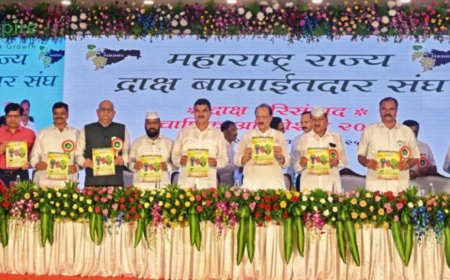 Government Positive Towards Grape Growers’ Demands – Deputy CM Ajit Pawar