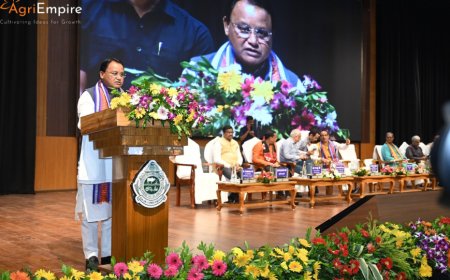 Ahead of Nuakhai, CM Disburses ₹1,041 Crore to 51 Lakh Farmers