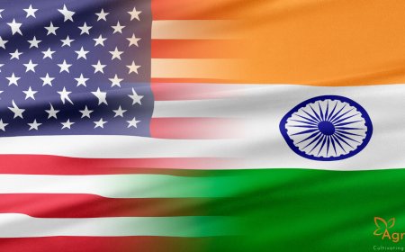 U.S. Imposes 50% Tariff Impacting Maharashtra’s Agricultural Exports to the U.S.