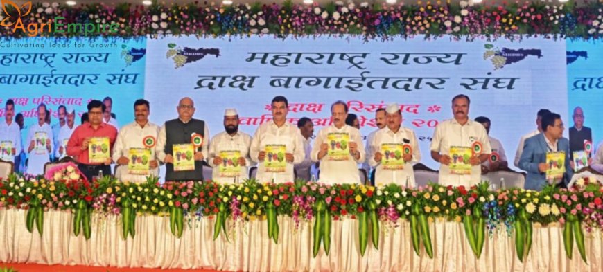 Government Positive Towards Grape Growers’ Demands – Deputy CM Ajit Pawar