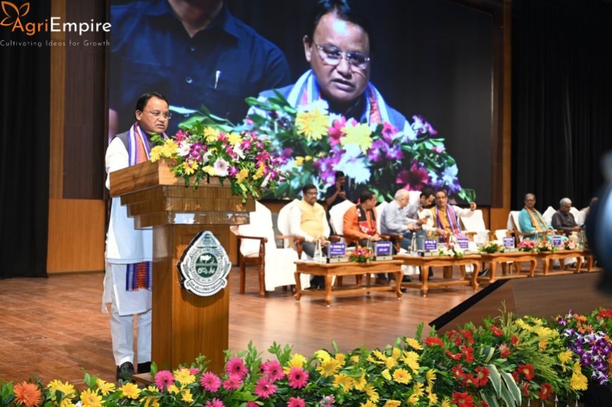 Ahead of Nuakhai, CM Disburses ₹1,041 Crore to 51 Lakh Farmers