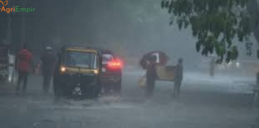 Haryana’s Jind Sees 37% Spike in Rainfall, Crops Destroyed