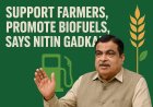 'किसानों को सहारा दें, बायोफ्यूल को बढ़ावा दें': केंद्रीय मंत्री नितिन गडकरी