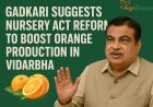 गडकरी ने विदर्भ में संतरे की खेती बढ़ाने के लिए नर्सरी अधिनियम में सुधार का प्रस्ताव रखा
