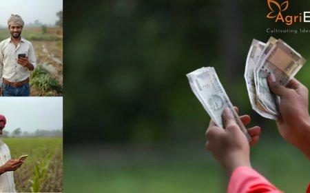 Maharashtra Disbursing 7th Installment of Farmer Support Scheme