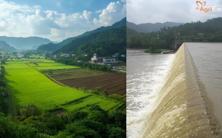 Heavy August Rains Rejuvenate Andhra Pradesh Reservoirs, Powering Kharif Sowing