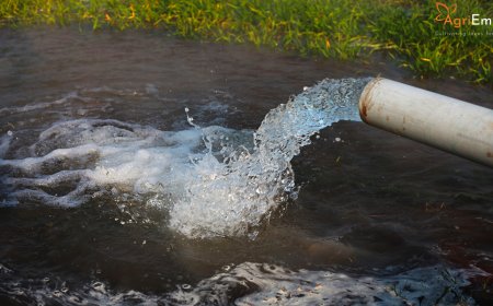 Maharashtra Extends Electricity Subsidy for Lift Irrigation Schemes Until 2027