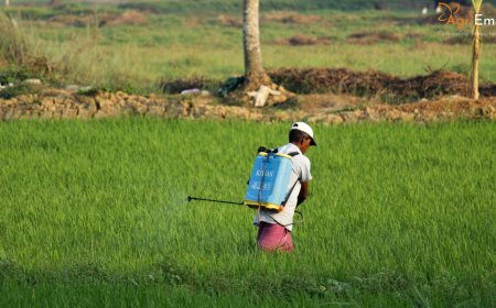 Maharashtra to Host Mega “Kisan Samruddhi Mahotsav” in Ramtek Focused on Sustainable Farming
