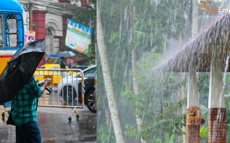 IMD Forecast: Heavy Rain Alerts for Maharashtra