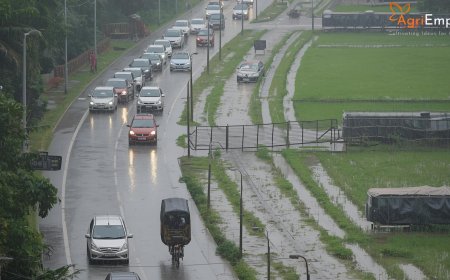 Pune Receives Heavy Rain; IMD Issues Alerts for Districts