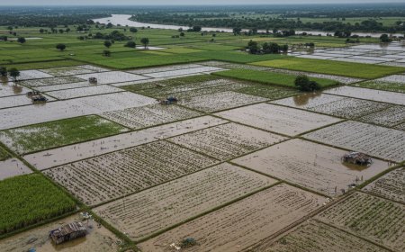 Relief Aid with Shinde & Sarnaik Posters Sparks Row in Dharashiv; Ministers Tour Flood-Hit Areas