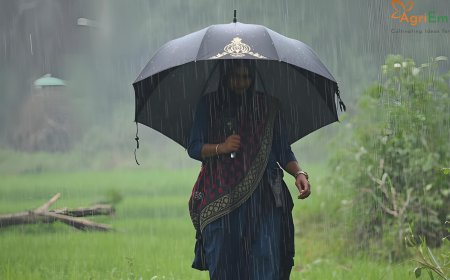 Farmers on Alert as IMD Predicts Heavy Rain in Maharashtra