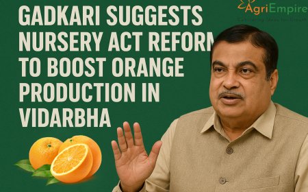 Gadkari Suggests Nursery Act Reforms to Boost Orange Production in Vidarbha