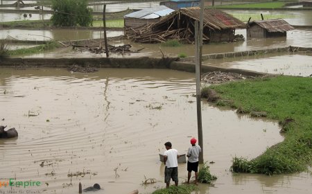 Floodwaters Wash Away Crop, Cattle & Soil, Push Marathwada Farmers into Debt & Hopelessness