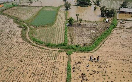 Solapur District Seeks ₹393 Crore Aid After Natural Disasters