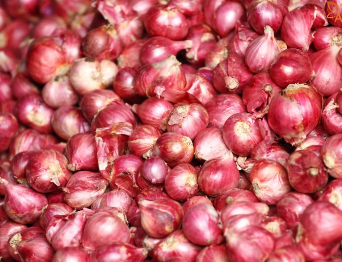 नासिक में प्याज बफर स्टॉक से किसानों को भारी नुकसान – भुजबळ ने केंद्र से पुनर्विचार की मांग की