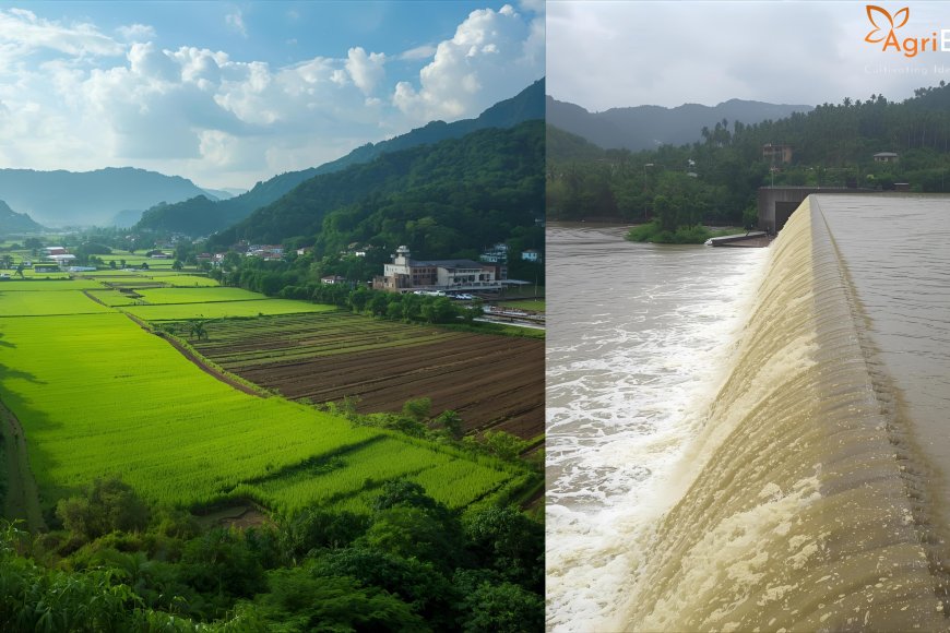 Agriempire - Heavy August Rains Rejuvenate Andhra Pradesh Reservoirs ...