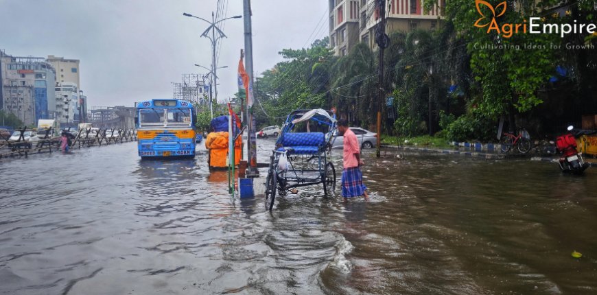 Maharashtra Forecast: Above-Normal Rainfall Expected in September Amid Active Monsoon Conditions