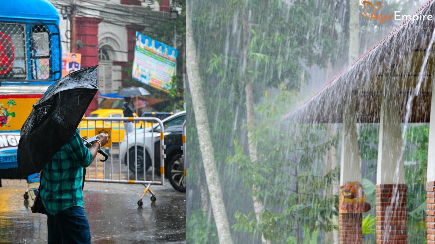 IMD Forecast: Heavy Rain Alerts for Maharashtra