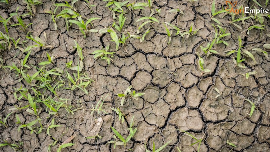 महाराष्ट्र सरकार ने 26 लाख किसानों के लिए ₹44.49 करोड़ की राहत राशि मंजूर की