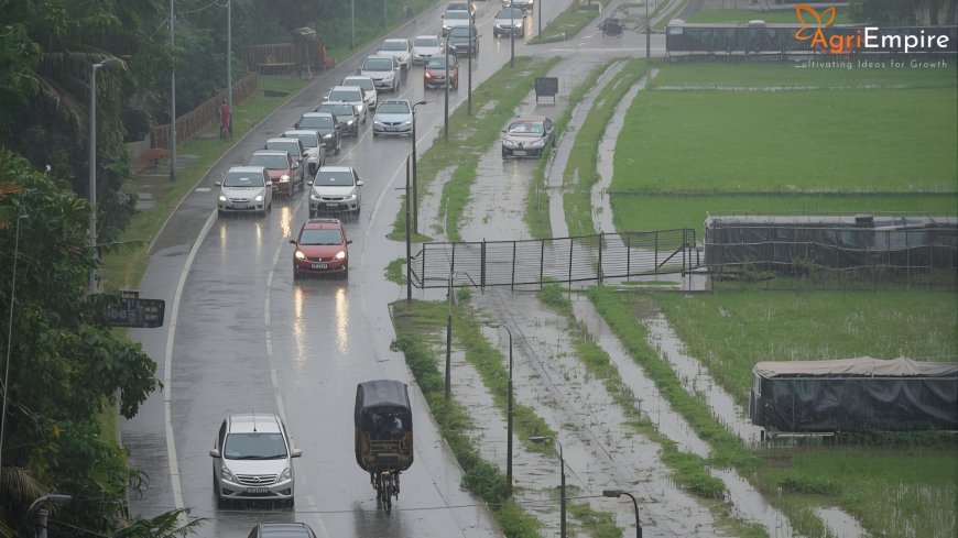 Pune Receives Heavy Rain; IMD Issues Alerts for Districts