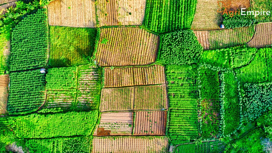 Over 17.85 Lakh Hectares of Farmland Damaged by Rain: Maharashtra Agriculture Minister
