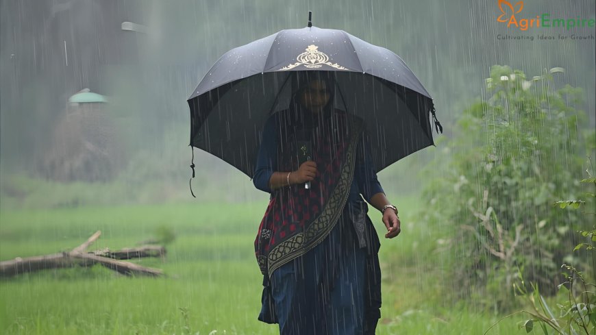 Farmers on Alert as IMD Predicts Heavy Rain in Maharashtra