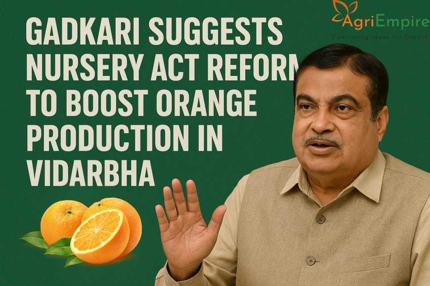 गडकरी ने विदर्भ में संतरे की खेती बढ़ाने के लिए नर्सरी अधिनियम में सुधार का प्रस्ताव रखा
