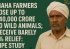 GIPE अध्ययन: महाराष्ट्र के किसान जंगली जानवरों के चलते ₹40,000 करोड़ तक का नुकसान झेलते हैं; राहत सिर्फ लगभग 1%