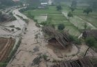 Farmers Back Home in Marathwada Suffer Crop Ruin Due to Rain & Flood