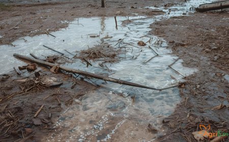 State Govt Extends Kharif Crop Inspection Deadline to Oct 31 Amid Devastation