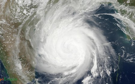 IMD Issues Cyclone ‘Shakti’ Warning for Maharashtra