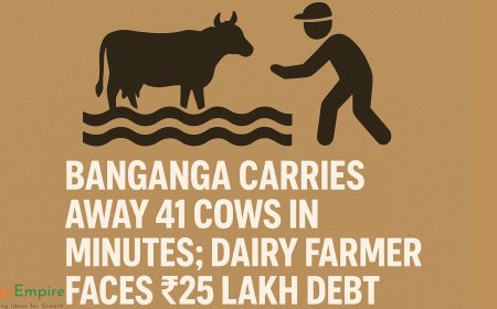 Banganga Carries Away 41 Cows in Minutes; Dairy Farmer Faces ₹25 Lakh Debt