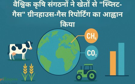 वैश्विक कृषि संगठनों ने खेतों से "स्प्लिट-गैस" ग्रीनहाउस-गैस रिपोर्टिंग का आह्वान किया
