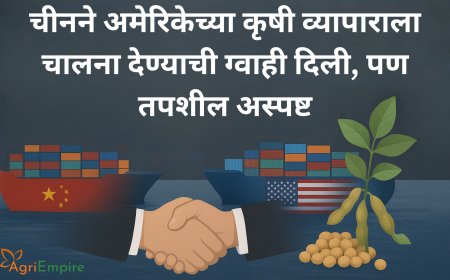 चीनने अमेरिकेच्या कृषी व्यापाराला चालना देण्याची ग्वाही दिली, पण तपशील अस्पष्ट