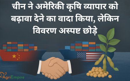 चीन ने अमेरिकी कृषि व्यापार को बढ़ावा देने का वादा किया, लेकिन विवरण अस्पष्ट छोड़े