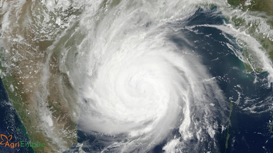 IMD Issues Cyclone ‘Shakti’ Warning for Maharashtra