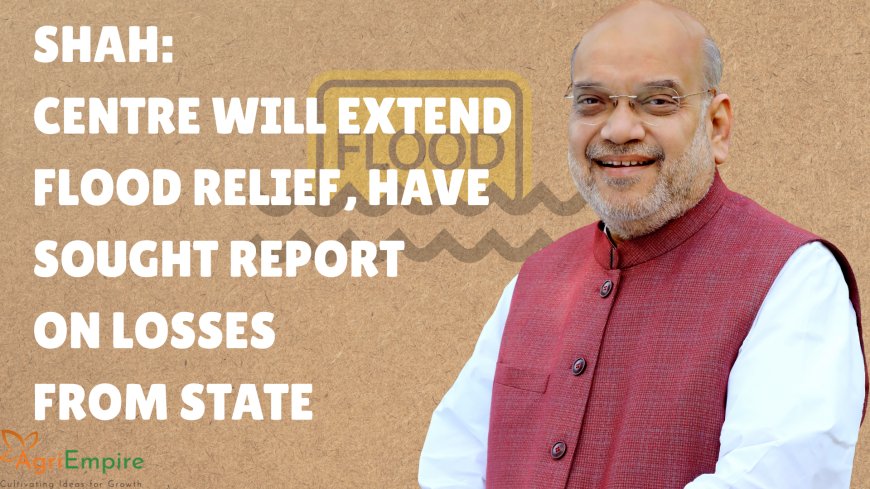 Shah: Centre will extend flood relief, have sought report on losses from state