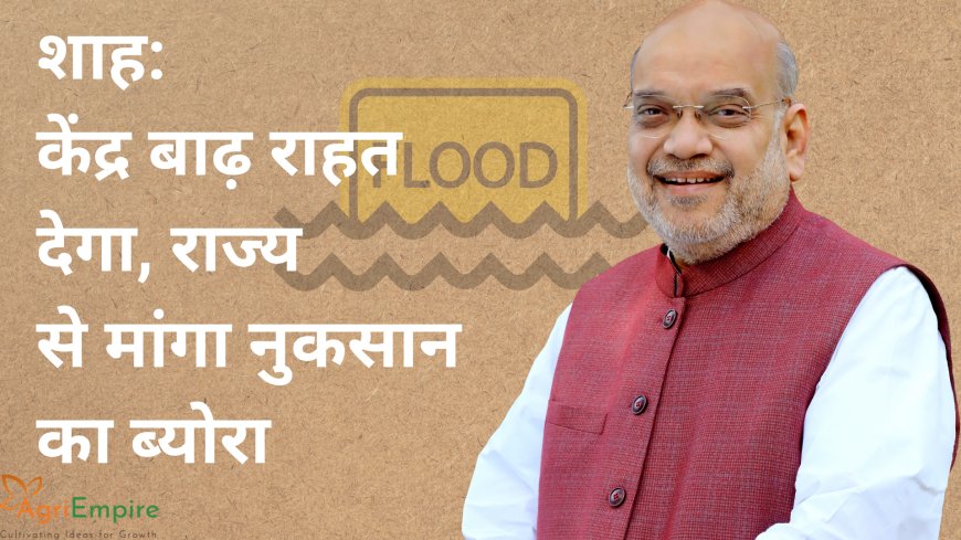 शाह: केंद्र बाढ़ राहत देगा, राज्य से मांगा नुकसान का ब्योरा