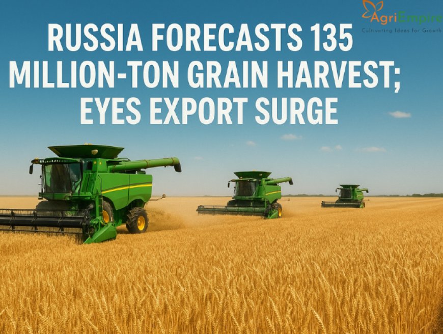 Russia Forecasts 135 Million-Ton Grain Harvest; Eyes Export Surge