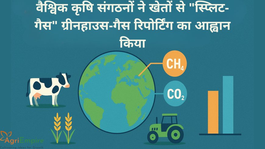 वैश्विक कृषि संगठनों ने खेतों से "स्प्लिट-गैस" ग्रीनहाउस-गैस रिपोर्टिंग का आह्वान किया