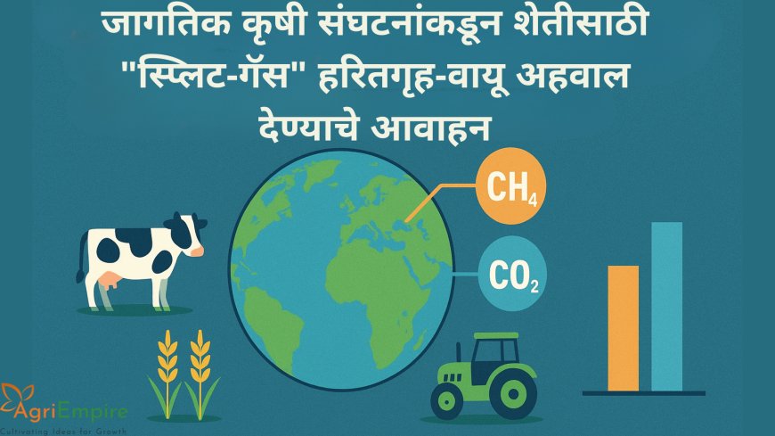 जागतिक कृषी संघटनांकडून शेतीसाठी "स्प्लिट-गॅस" हरितगृह-वायू अहवाल देण्याचे आवाहन