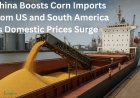 China Boosts Corn Imports from US and South America as Domestic Prices Surge