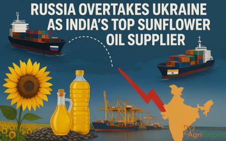 Russia Overtakes Ukraine as India’s Top Sunflower Oil Supplier