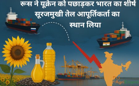 रूस ने यूक्रेन को पछाड़कर भारत का शीर्ष सूरजमुखी तेल आपूर्तिकर्ता का स्थान लिया