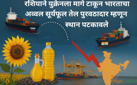 रशियाने युक्रेनला मागे टाकून भारताचा अव्वल सूर्यफूल तेल पुरवठादार म्हणून स्थान पटकावले