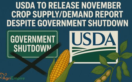 USDA to Release November Crop Supply/Demand Report Despite Government Shutdown