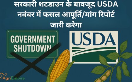 सरकारी शटडाउन के बावजूद USDA नवंबर में फसल आपूर्ति/मांग रिपोर्ट जारी करेगा