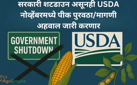 सरकारी शटडाउन असूनही USDA नोव्हेंबरमध्ये पीक पुरवठा/मागणी अहवाल जारी करणार