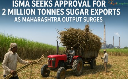 ISMA Seeks Approval for 2 Million Tonnes Sugar Exports as Maharashtra Output Surges